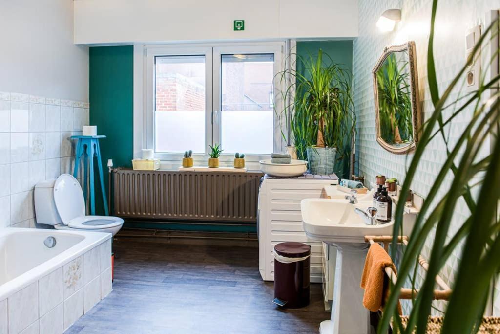 Vakantiewoning In Mol Centrum Met Eigen Bar "Casacuriosa" المظهر الخارجي الصورة
